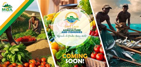 census of agriculture and fisheries|Census of Agriculture and Fisheries (CAF) .